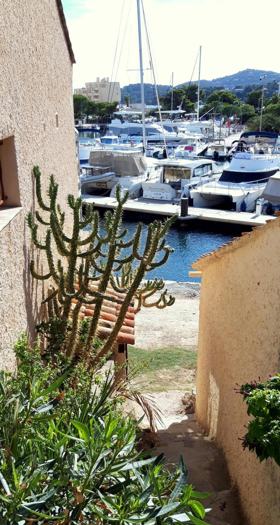 T2 Terrasse, Bormes Les Mimosas La Faviere, 5 Pers, 5 Mn A Pieds Des Plages Et Commerces Екстериор снимка