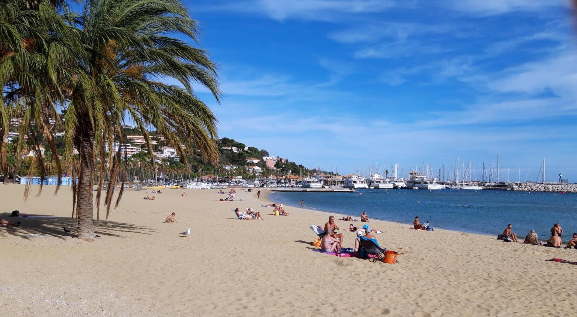 T2 Terrasse, Bormes Les Mimosas La Faviere, 5 Pers, 5 Mn A Pieds Des Plages Et Commerces Екстериор снимка